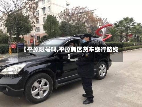 【平原限号吗,平原新区货车绕行路线】-第2张图片