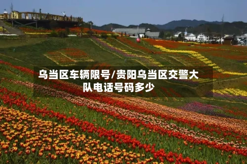 乌当区车辆限号/贵阳乌当区交警大队电话号码多少