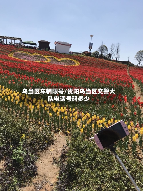 乌当区车辆限号/贵阳乌当区交警大队电话号码多少-第2张图片