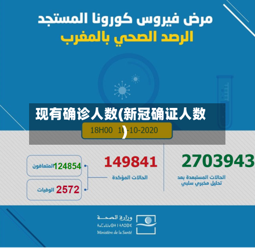 现有确诊人数(新冠确证人数)