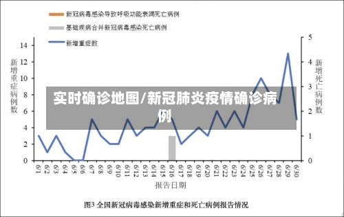 实时确诊地图/新冠肺炎疫情确诊病例-第2张图片