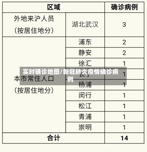 实时确诊地图/新冠肺炎疫情确诊病例