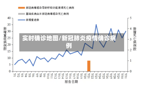 实时确诊地图/新冠肺炎疫情确诊病例-第3张图片