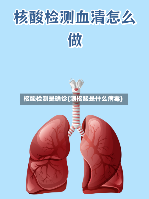 核酸检测是确诊(测核酸是什么病毒)-第2张图片