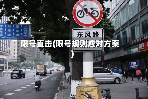限号直击(限号规则应对方案)-第3张图片