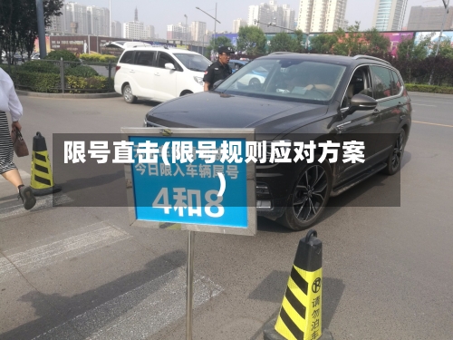 限号直击(限号规则应对方案)-第2张图片