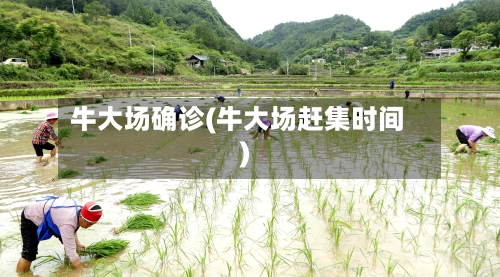 牛大场确诊(牛大场赶集时间)-第2张图片