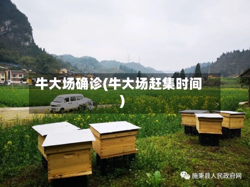 牛大场确诊(牛大场赶集时间)