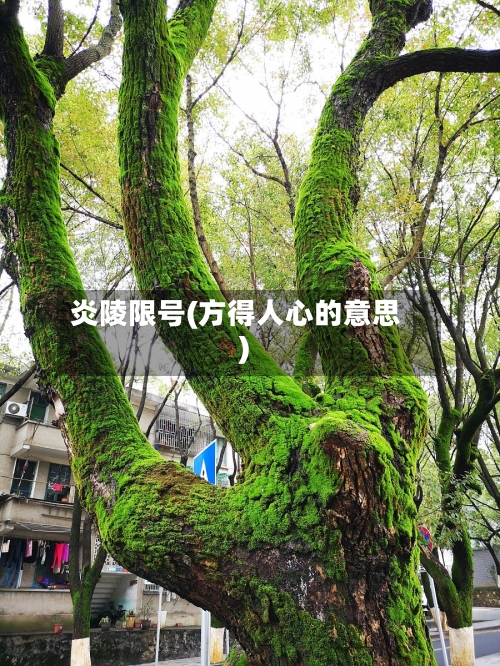炎陵限号(方得人心的意思)-第2张图片