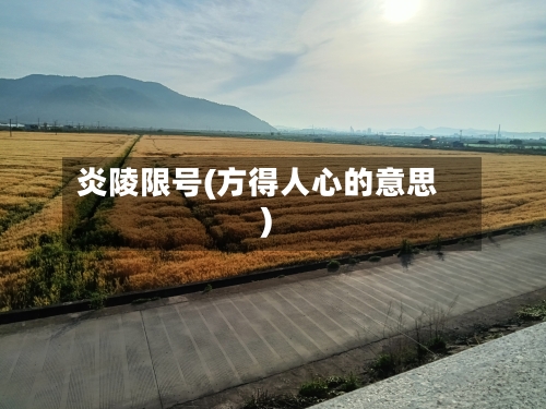 炎陵限号(方得人心的意思)