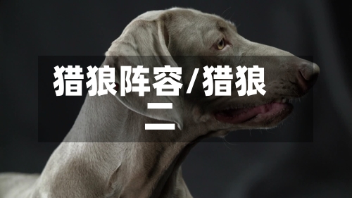 猎狼阵容/猎狼二-第2张图片