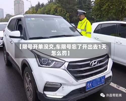 【限号开单没交,车限号忘了开出去1天怎么罚】-第2张图片