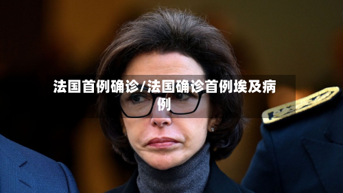 法国首例确诊/法国确诊首例埃及病例