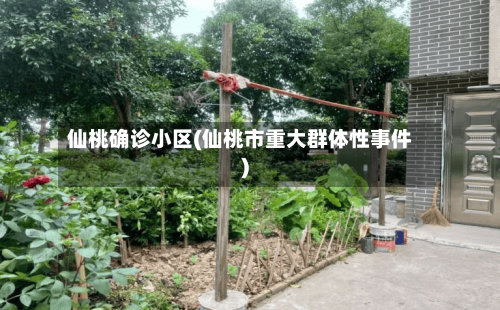 仙桃确诊小区(仙桃市重大群体性事件)