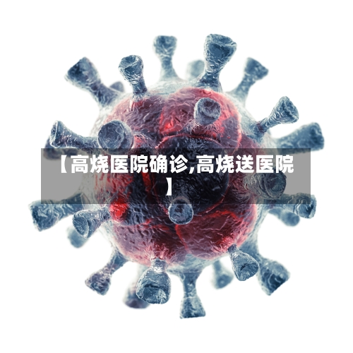 【高烧医院确诊,高烧送医院】-第3张图片