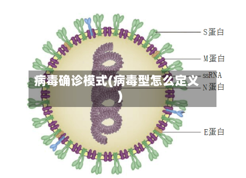 病毒确诊模式(病毒型怎么定义)