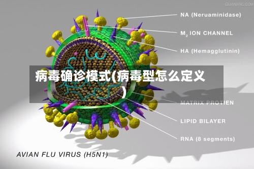 病毒确诊模式(病毒型怎么定义)-第2张图片