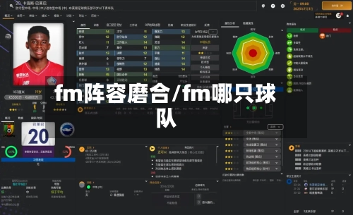 fm阵容磨合/fm哪只球队