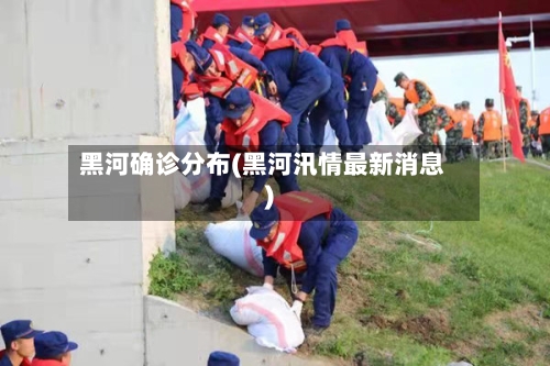 黑河确诊分布(黑河汛情最新消息)-第3张图片