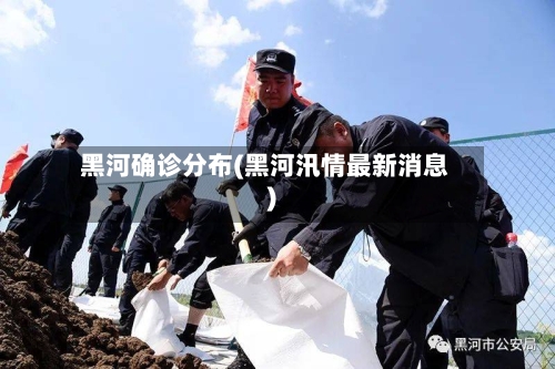 黑河确诊分布(黑河汛情最新消息)-第2张图片