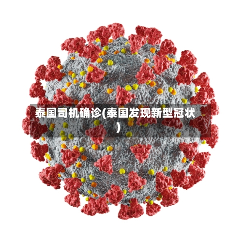 泰国司机确诊(泰国发现新型冠状)-第2张图片