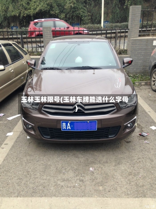 玉林玉林限号(玉林车牌能选什么字母)