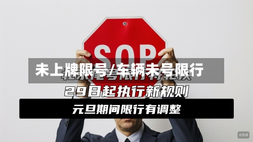 未上牌限号/车辆未号限行