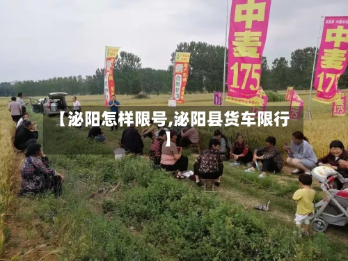 【泌阳怎样限号,泌阳县货车限行】-第2张图片