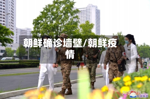 朝鲜确诊墙壁/朝鲜疫情