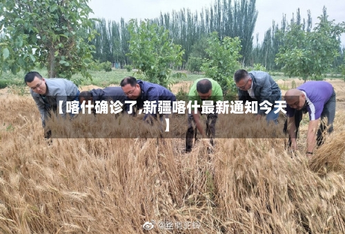 【喀什确诊了,新疆喀什最新通知今天】-第2张图片