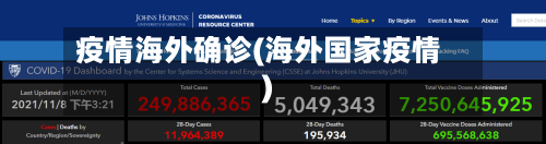 疫情海外确诊(海外国家疫情)-第2张图片