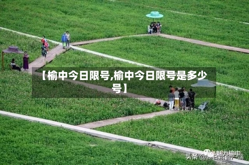 【榆中今日限号,榆中今日限号是多少号】-第2张图片