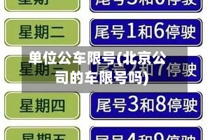 单位公车限号(北京公司的车限号吗)