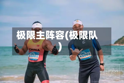 极限主阵容(极限队)