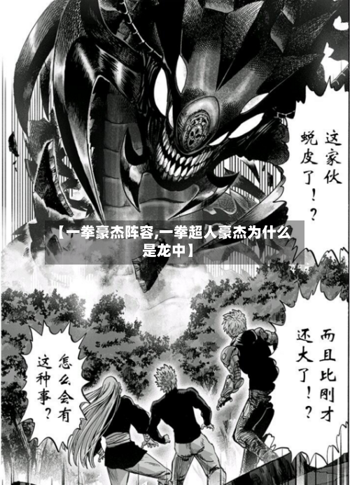 【一拳豪杰阵容,一拳超人豪杰为什么是龙中】