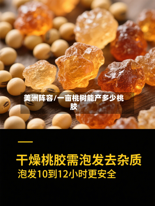美洲阵容/一亩桃树能产多少桃胶-第2张图片