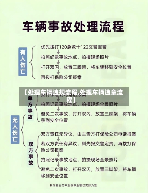 【处理车辆违规流程,处理车辆违章流程】