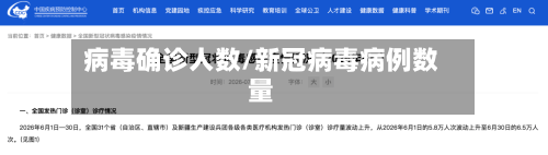 病毒确诊人数/新冠病毒病例数量