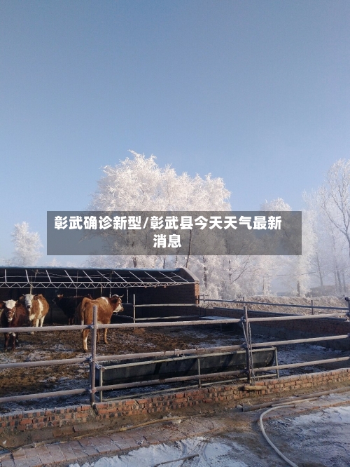 彰武确诊新型/彰武县今天天气最新消息