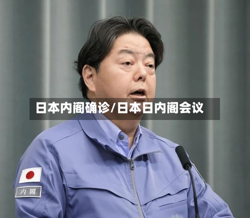日本内阁确诊/日本日内阁会议