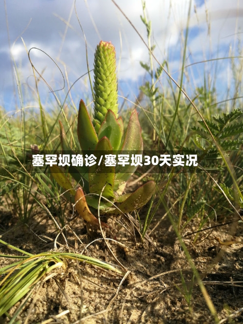 塞罕坝确诊/塞罕坝30天实况