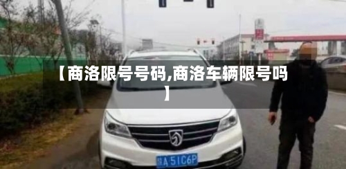 【商洛限号号码,商洛车辆限号吗】-第3张图片
