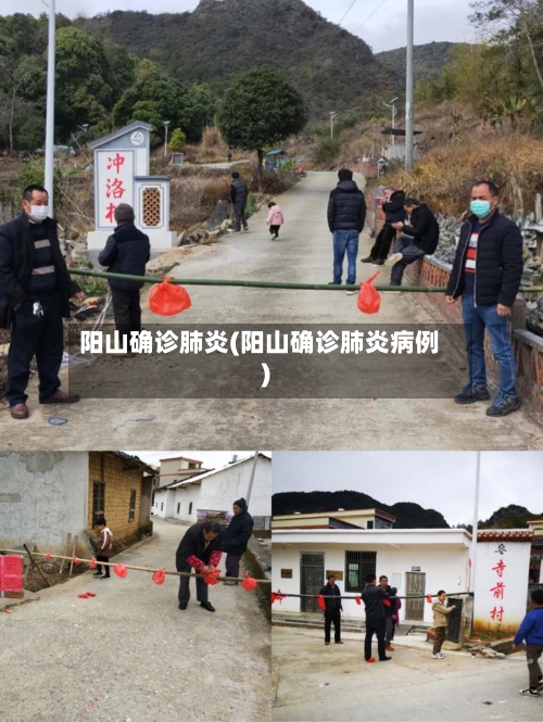阳山确诊肺炎(阳山确诊肺炎病例)