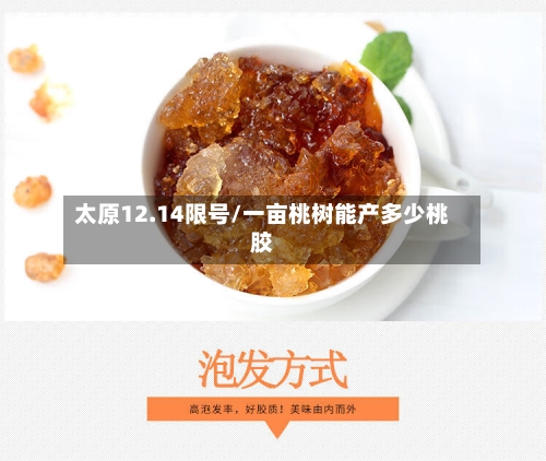 太原12.14限号/一亩桃树能产多少桃胶