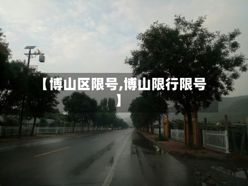 【博山区限号,博山限行限号】-第3张图片