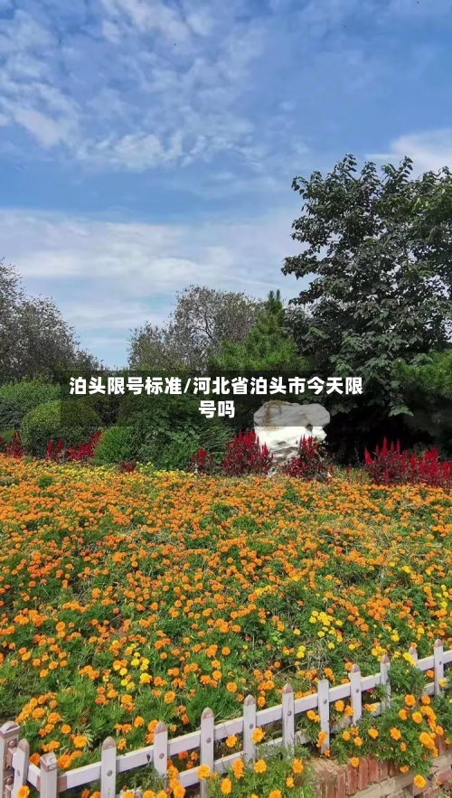 泊头限号标准/河北省泊头市今天限号吗