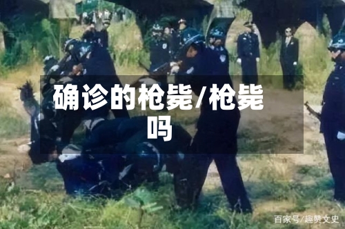 确诊的枪毙/枪毙吗-第3张图片