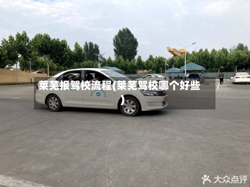 莱芜报驾校流程(莱芜驾校哪个好些)