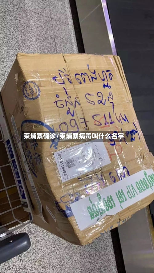 柬埔寨确诊/柬埔寨病毒叫什么名字