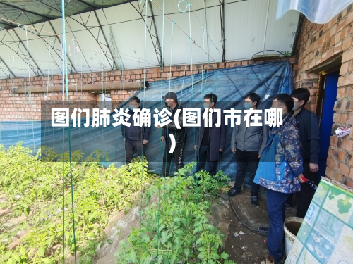 图们肺炎确诊(图们市在哪)